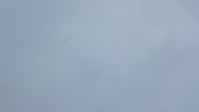 15 января 2023 г. смотреть онлайн