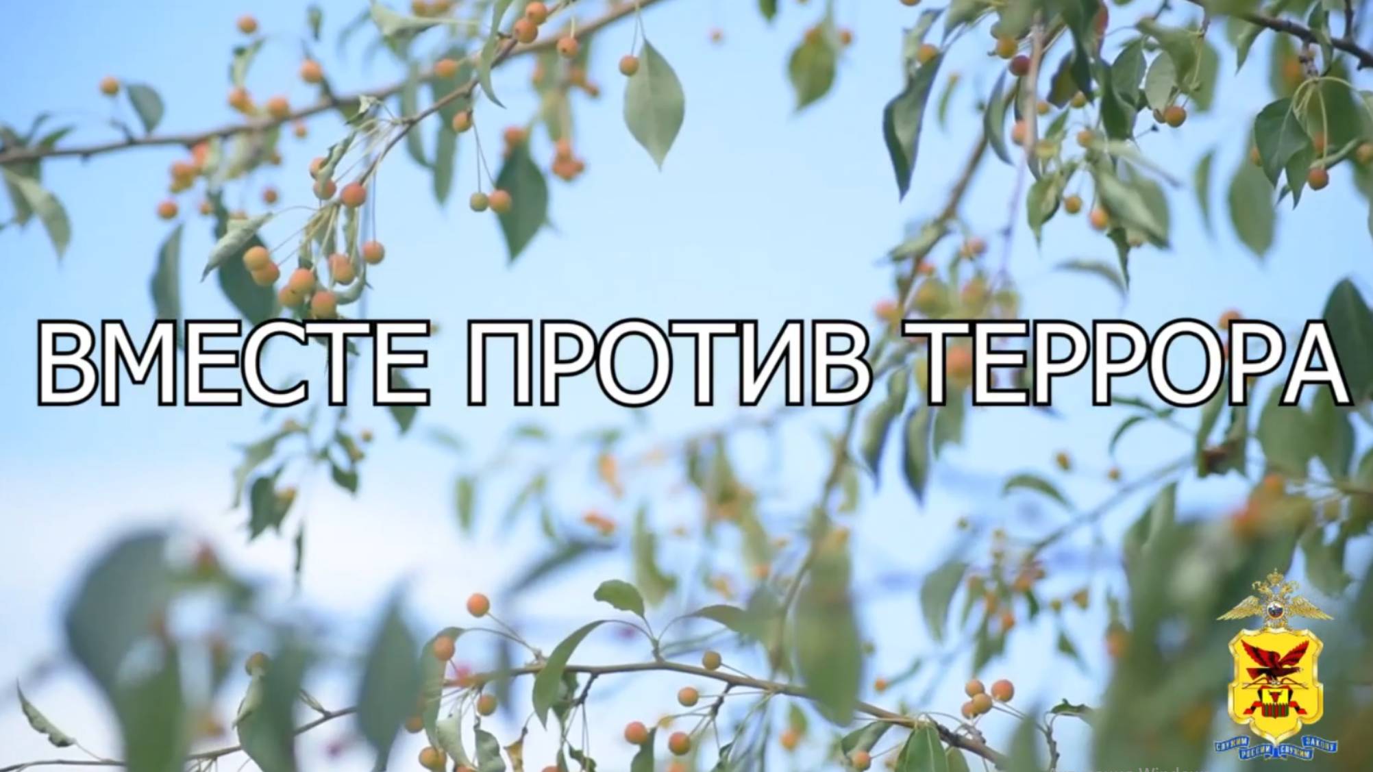 Вместе против террора! Забайкальский край смотреть онлайн