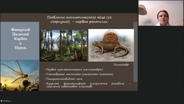 Онлайн-школа СПбГУ 2022/2023. 11 класс. Биология. 18.02.2023 смотреть онлайн