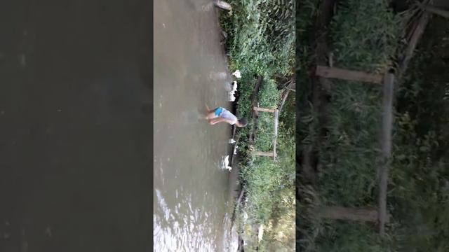 20 июля 2017 г. смотреть онлайн