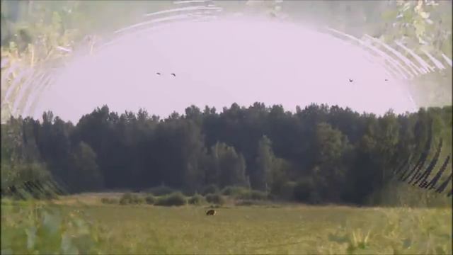 Утренние встречи смотреть онлайн