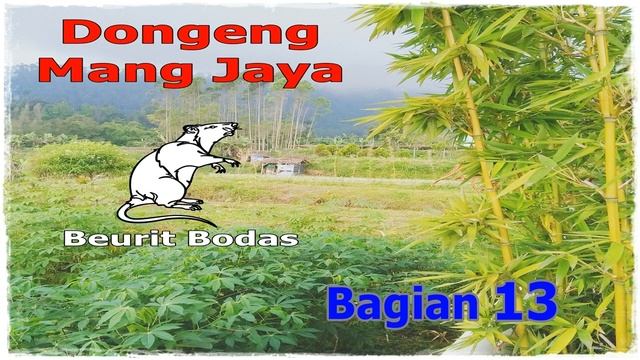 Dongeng Mang Jaya Beurit Bodas Bagian 13 смотреть онлайн
