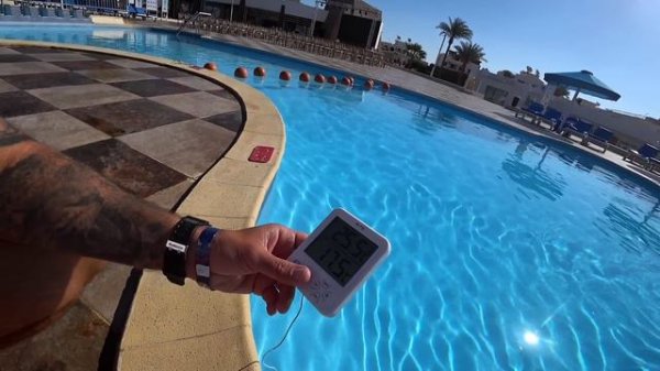 🇪🇬КУДА Я ПОПАЛ? Albatros Sharm Resort - Sharm El Sheikh Сервис Территория ресторан