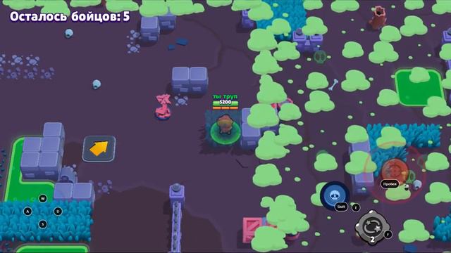 Играем в бравл старс моё первое видео смотреть онлайн