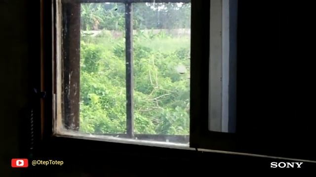 SONY DSC H400 - Zoom Test смотреть онлайн