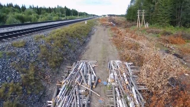 " Земля кричит!" автор и исполнитель Екатерина Рогова (Кэтрин Кэт ) смотреть онлайн