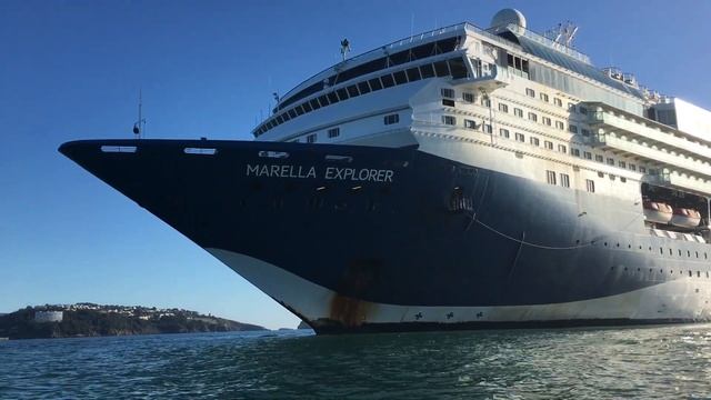 Torbay's Cruise Ship Residents UP CLOSE | 27/02/2021 смотреть онлайн