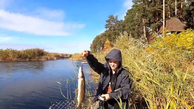 Рыбалка,сбор грибов по пути в Золотоношу,с.Коробовка. смотреть онлайн