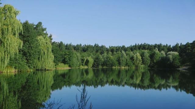 Тихое спокойное озеро, небольшой плеск воды, красивое пение птиц, Relaxing Sounds Of Nature
