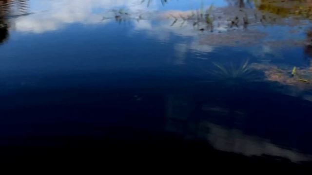 Самодельный гусеничный вездеход Попутчик, для охоты и рыбалки смотреть онлайн