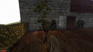 Готика 2 мод: Semi | Gothic 2 mod: Semi. Я спас своего отца. Финал. №2