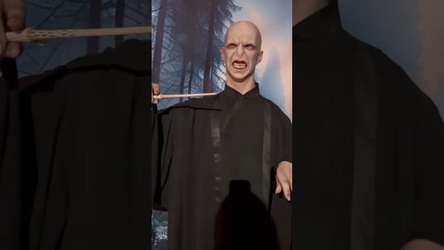 Выставка Вселенная Гарри Поттера 🪄 #harrypotter #гаррипоттер МоникаСтеша