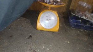 РАЗБОР ТЕЛЕВИЗОРА«РАССВЕТ-307-1»? РАЗБОР СТАРОЙ ТЕХНИКИ. ПОИСК МЕДИ И МЕТАЛЛОЛОМА! ТЕЛИВИЗОР В МЕТА