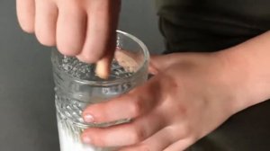 Сублимированное молоко + кумыс