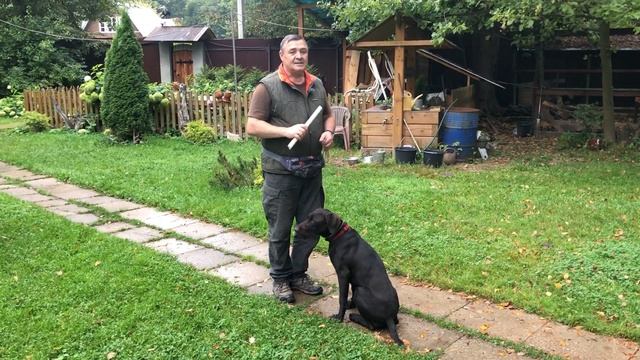 Как научить собаку отдавать апорт в руку смотреть онлайн
