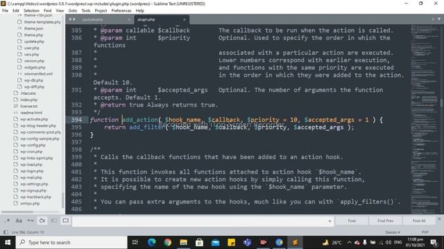 WordPress plugin development from scratch in Urdu/Hindi |action hooks filter hooks смотреть онлайн