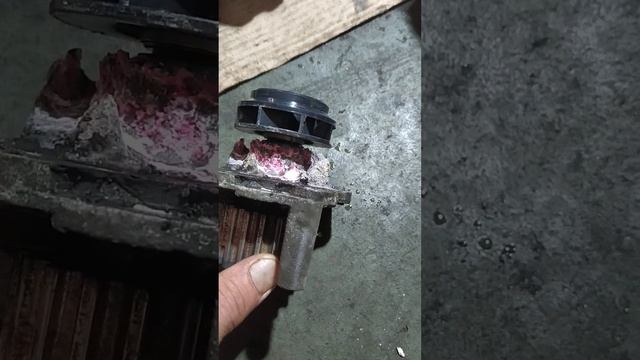 Последствия дешёвого антифриза из Сфетофора!