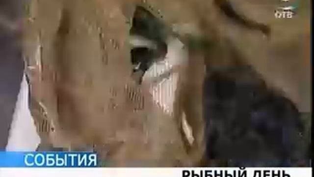 На очистку водоема брошены все рыбные силы смотреть онлайн