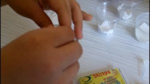 Сеем семена цикламена. Часть № 1.Подготовка семян к посеву