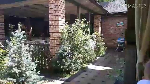 Кафе КАРАФЕ. АЛМАТЫ. ОТЗЫВ о кафе КАРАФЕ. смотреть онлайн