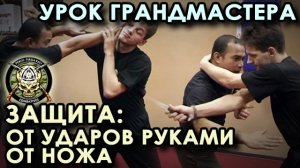 Урок ГРАНДМАСТЕРА: защита от ударов руками, защита от ножа.