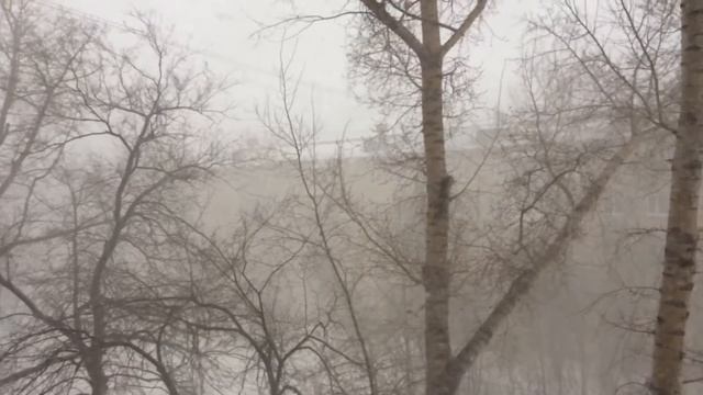 Погода в Усть-Каменогорске смотреть онлайн