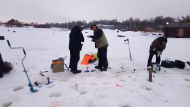 Стрелецкий Ручей 07/02/2019- 3 смотреть онлайн