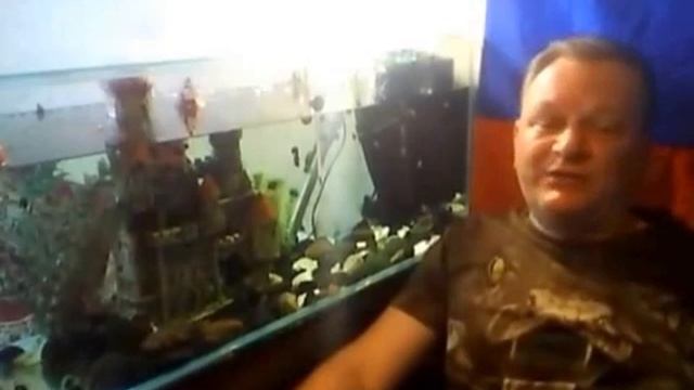 Сколько рыбок можно держать в аквариуме. смотреть онлайн