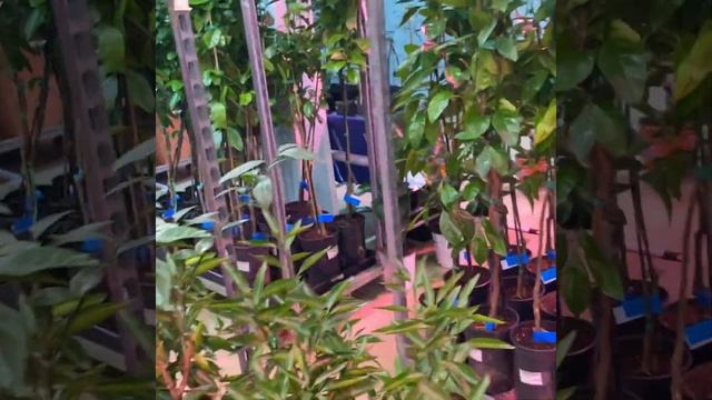 Обзор 22 января смотреть онлайн