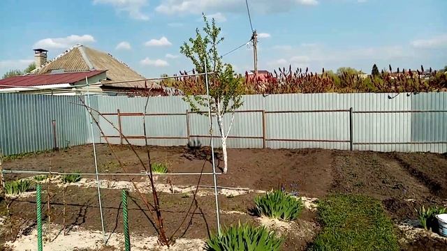 Ловчий Пояс от МУРАВЬЁВ своими Руками из СКОТЧА. Очень Просто и Доступно. ???22 апреля 2023г.?? смотреть онлайн