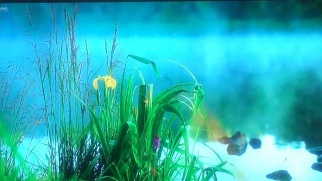 Стихотворение Лето смотреть онлайн