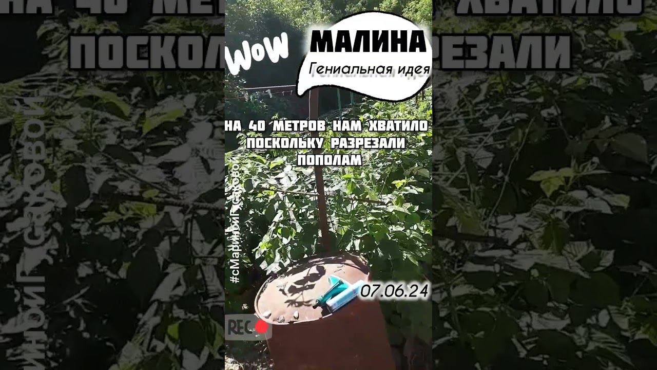 И почему я раньше не додумалась до этого? Больше не буду подвязывать МАЛИНУ | с Мариной Гусаковой смотреть онлайн