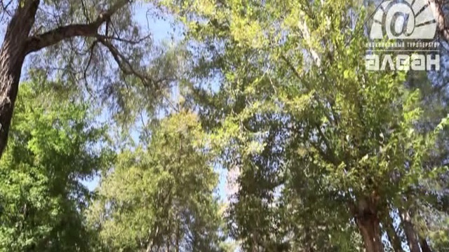 Россия. Краснодарский край. Геленджик. Бетта. Пансионат Южный. смотреть онлайн