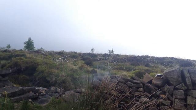 PIROMAX RC1 | Firecrackers | Bangers | Illegal Fireworks | UK смотреть онлайн