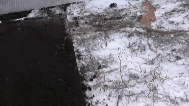 Копаем ров в парнике и засыпаем периметр землей смотреть онлайн