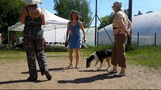 19.06.2021,СПб. Моно Колли ГШ смотреть онлайн