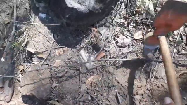 a busca do ouro em outro lugar e pernoite Gold monster 1000 смотреть онлайн