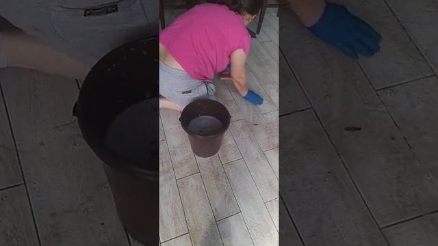 Ручная роторная машина ! Профессиональная мойка полов!!!? Заказ по клининговым услугам! смотреть онлайн