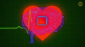 Путешествие внутри человеческого мозга