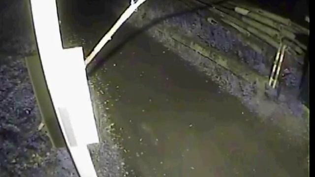 Видео с места перестрелки байкеров. Камера 3