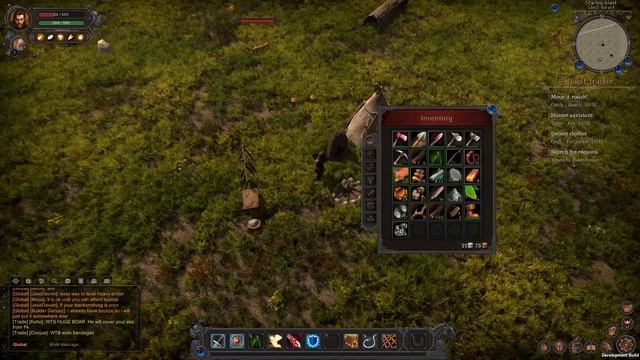 Wild Terra 2 - Worth Playing? Runescape meets Albion Online смотреть онлайн