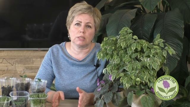 КОГДА САЖАТЬ НА РАССАДУ ТОМАТЫ, БАКЛАЖАНЫ И ПЕРЦЫ! РАССАДА 2021! смотреть онлайн