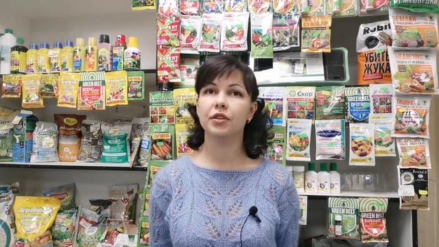 Гвоздика Шабо выращивание из семян. Сеем гвоздику Шабо в Январе. смотреть онлайн