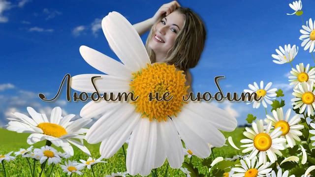 Бесплатный стиль для Proshow Producer "Любит не любит" смотреть онлайн