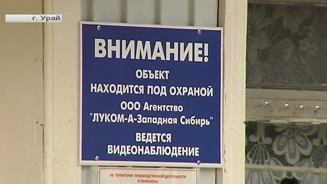 Югорчане довольны урожаем грибов смотреть онлайн