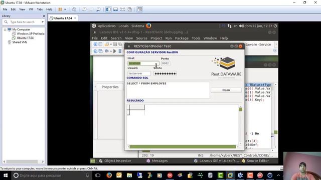 REST Dataware - Versão CORE (Basic Components), Linux/Windows, Lazarus/Delphi смотреть онлайн
