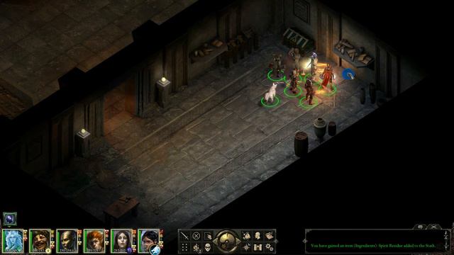 Pillars of Eternity Good Playthrough in Hard (HD) - Shimmering Cloak смотреть онлайн