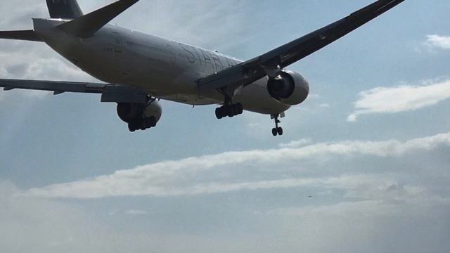 Star Alliance stats смотреть онлайн