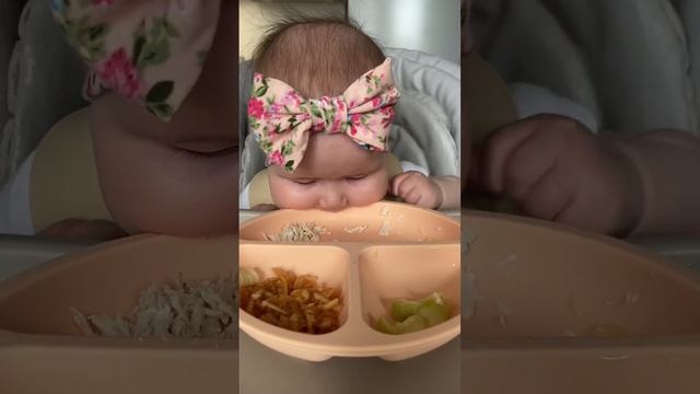 Это Миа, и она уже ест кусочки  ?? #6месяцев #самоприкорм #blw #прикорм #babyledweaning #6months