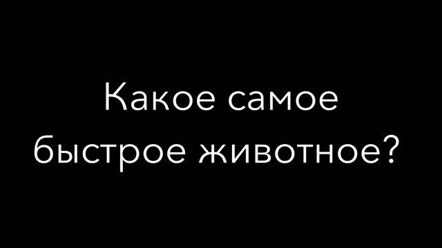 самый самая самое (А2) a russian exercise for beginners (the most) смотреть онлайн